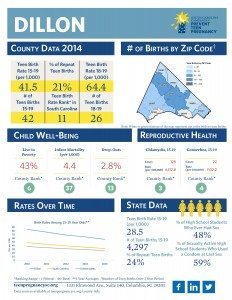 Dillon_Teen Birth Data County Profiles 2014 WEB